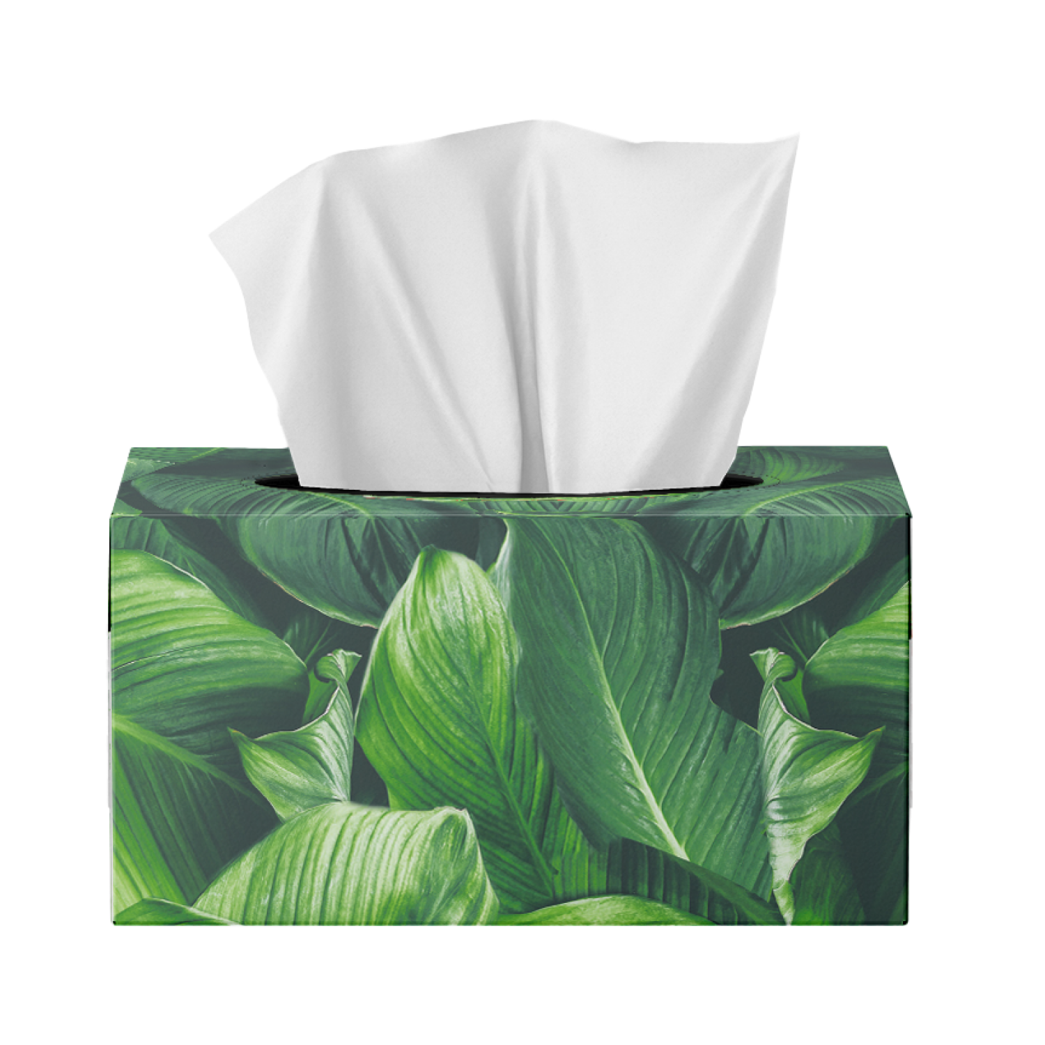 Sorbent Silky White Facial Tissues - 250